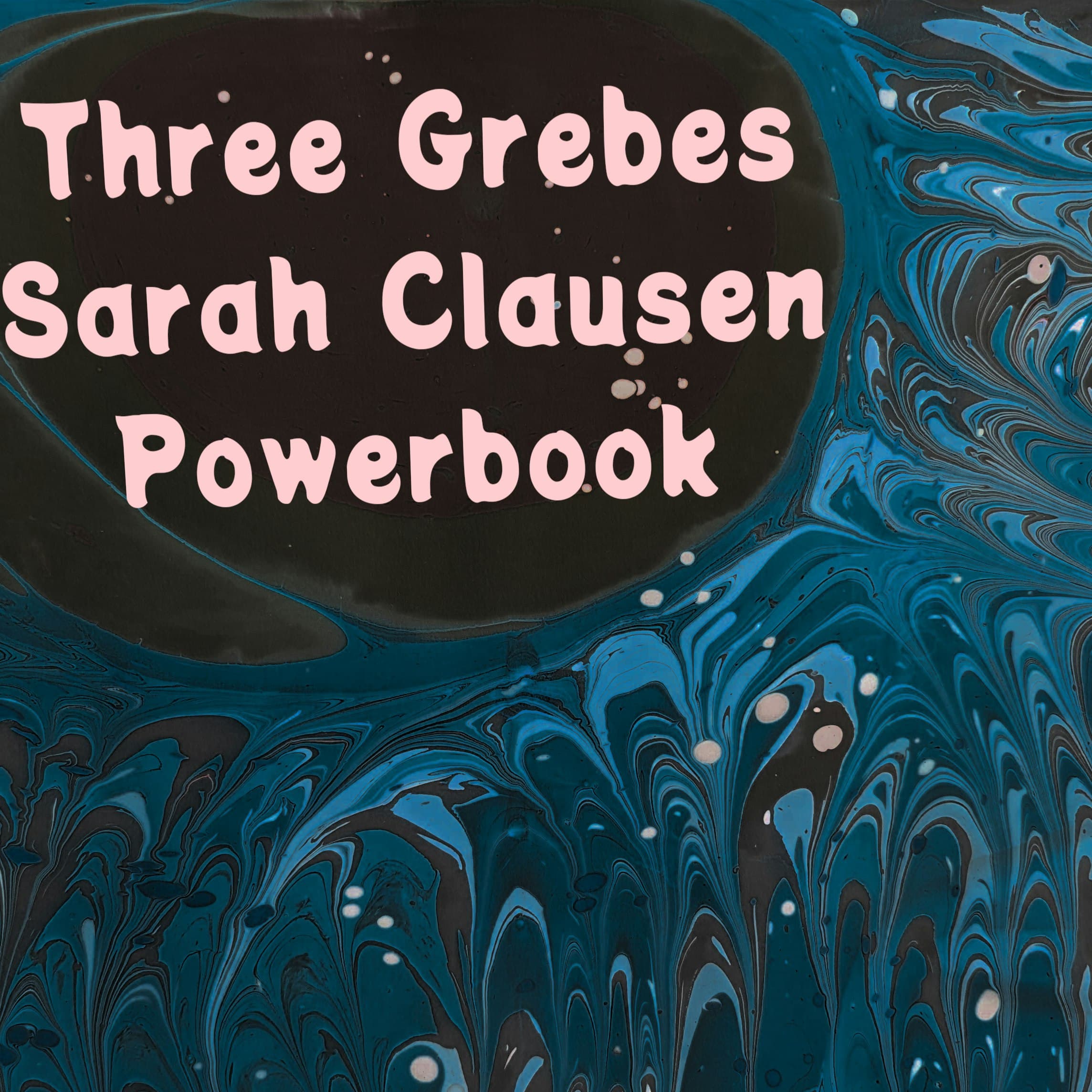 Three Grebes, Sarah Clausen, Powerbook