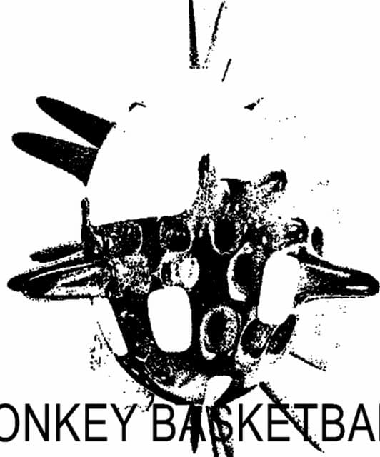 Donkey Basketball