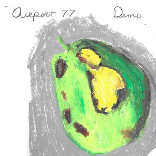 Airport '77