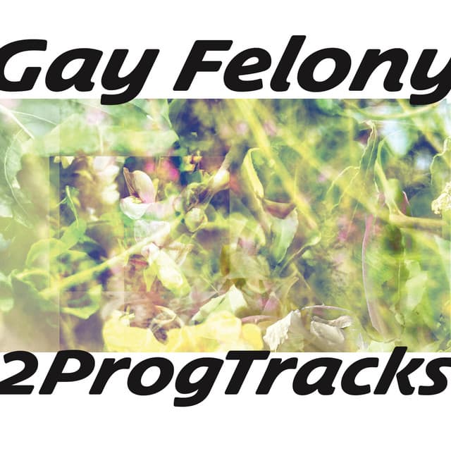 Gay Felony