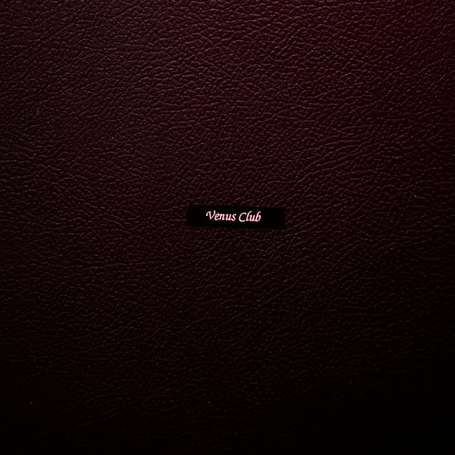 VENUS CLUB