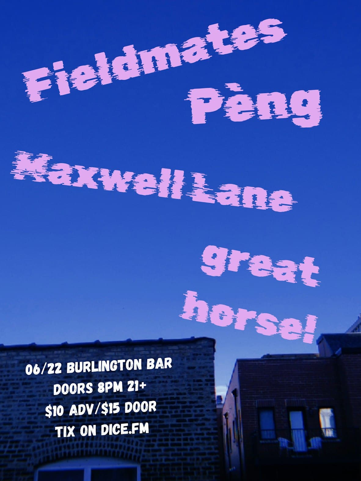 Fieldmates // Péng // Maxwell Lane // great horse!